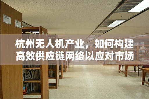 杭州无人机产业，如何构建高效供应链网络以应对市场挑战？