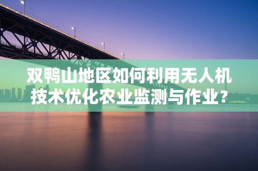 双鸭山地区如何利用无人机技术优化农业监测与作业？