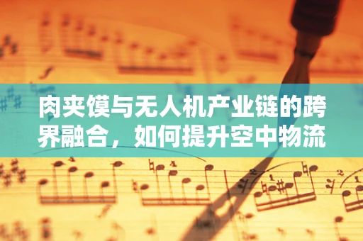肉夹馍与无人机产业链的跨界融合，如何提升空中物流的‘味蕾’体验？