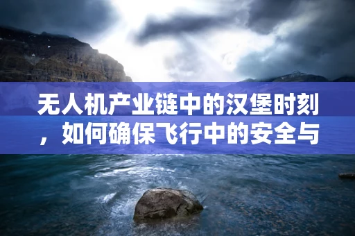 无人机产业链中的汉堡时刻，如何确保飞行中的安全与效率？