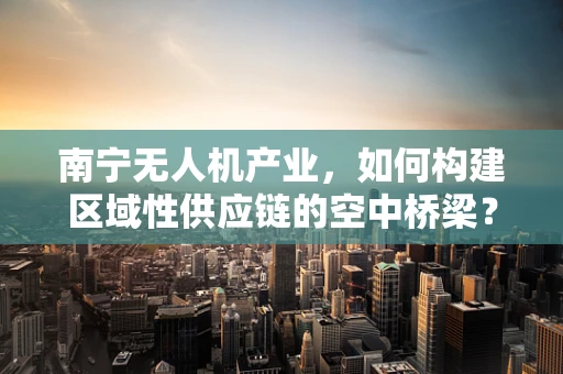 南宁无人机产业，如何构建区域性供应链的空中桥梁？