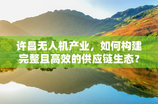 许昌无人机产业，如何构建完整且高效的供应链生态？