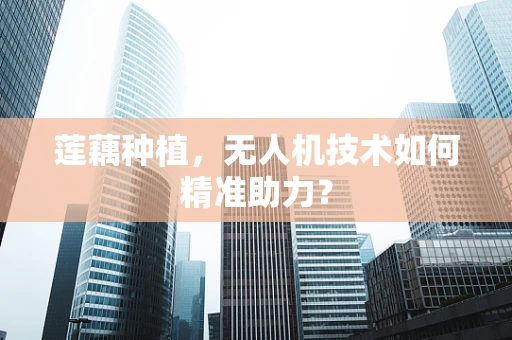 莲藕种植，无人机技术如何精准助力？
