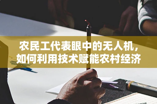 农民工代表眼中的无人机，如何利用技术赋能农村经济发展？