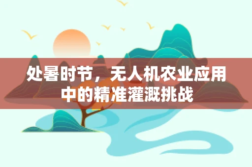 处暑时节，无人机农业应用中的精准灌溉挑战