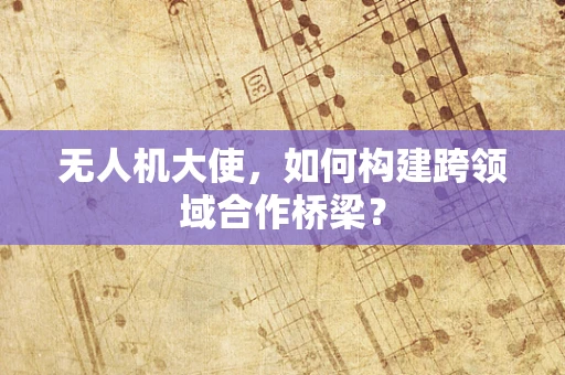 无人机大使，如何构建跨领域合作桥梁？