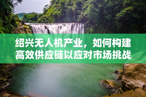 绍兴无人机产业，如何构建高效供应链以应对市场挑战？