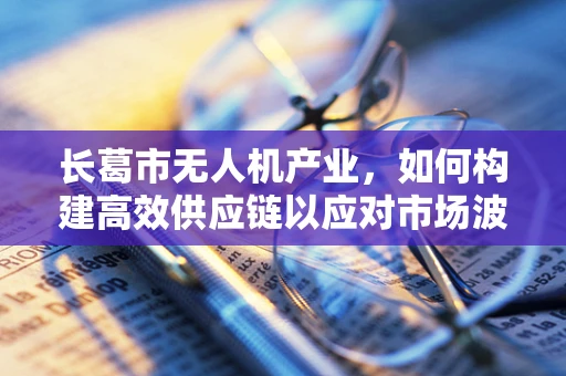 长葛市无人机产业，如何构建高效供应链以应对市场波动？