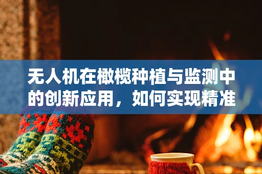 无人机在橄榄种植与监测中的创新应用，如何实现精准施肥与病虫害监控？