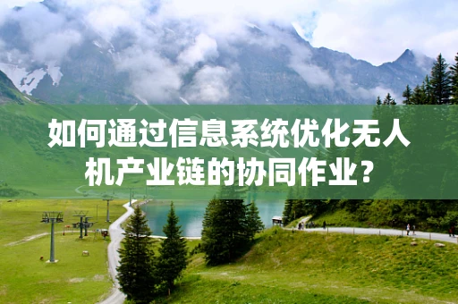 如何通过信息系统优化无人机产业链的协同作业？