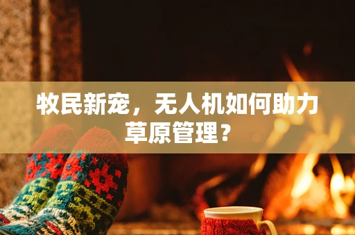 牧民新宠，无人机如何助力草原管理？