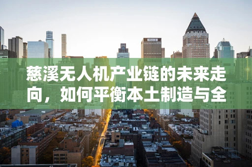 慈溪无人机产业链的未来走向，如何平衡本土制造与全球创新？