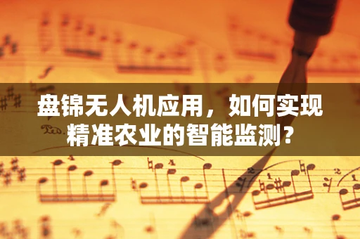 盘锦无人机应用，如何实现精准农业的智能监测？