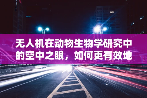 无人机在动物生物学研究中的空中之眼，如何更有效地利用无人机进行野生动物监测？