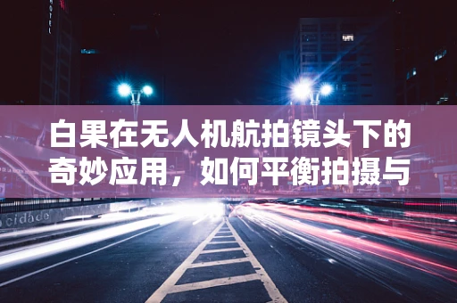 白果在无人机航拍镜头下的奇妙应用，如何平衡拍摄与果实保护？