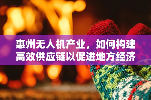 惠州无人机产业，如何构建高效供应链以促进地方经济发展？