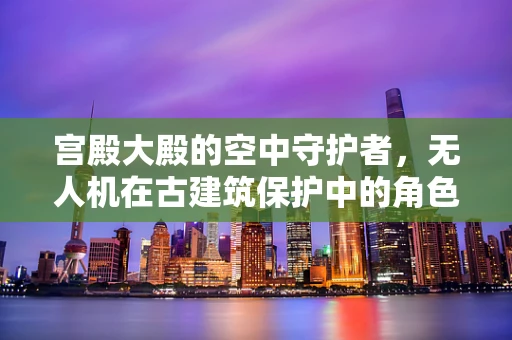 宫殿大殿的空中守护者，无人机在古建筑保护中的角色与挑战