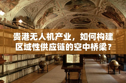 贵港无人机产业，如何构建区域性供应链的空中桥梁？