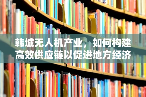 韩城无人机产业，如何构建高效供应链以促进地方经济发展？