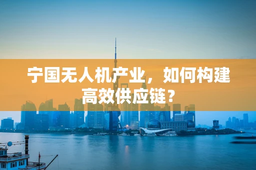 宁国无人机产业，如何构建高效供应链？