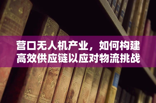 营口无人机产业，如何构建高效供应链以应对物流挑战？