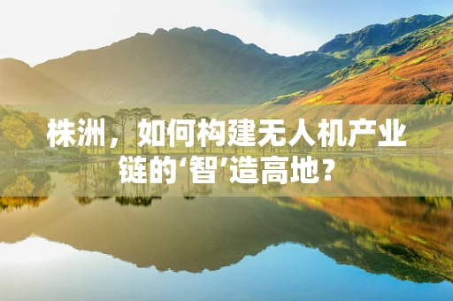 株洲，如何构建无人机产业链的‘智’造高地？