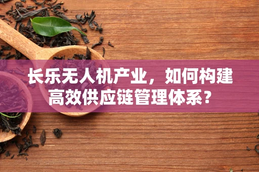 长乐无人机产业，如何构建高效供应链管理体系？