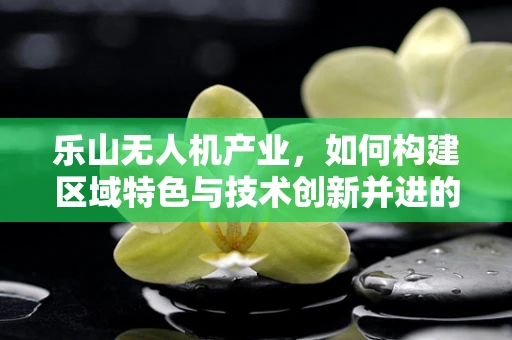 乐山无人机产业，如何构建区域特色与技术创新并进的生态链？