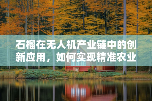 石榴在无人机产业链中的创新应用，如何实现精准农业的‘甜蜜’升级？
