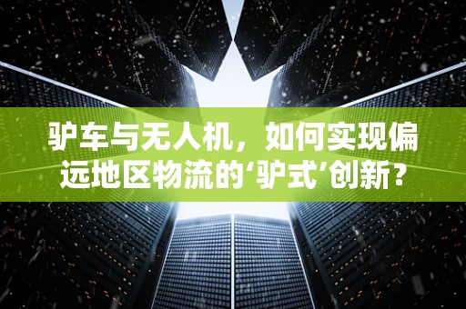 驴车与无人机，如何实现偏远地区物流的‘驴式’创新？