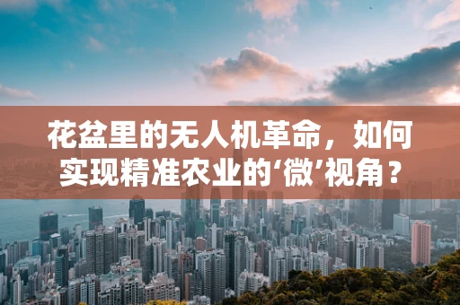 花盆里的无人机革命，如何实现精准农业的‘微’视角？