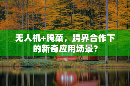 无人机+腌菜，跨界合作下的新奇应用场景？