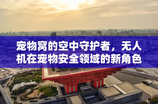 宠物窝的空中守护者，无人机在宠物安全领域的新角色？