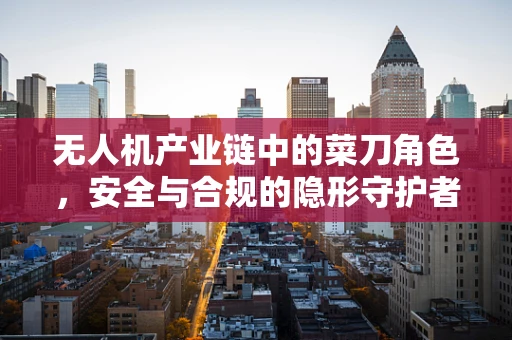 无人机产业链中的菜刀角色，安全与合规的隐形守护者？