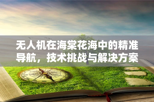 无人机在海棠花海中的精准导航，技术挑战与解决方案