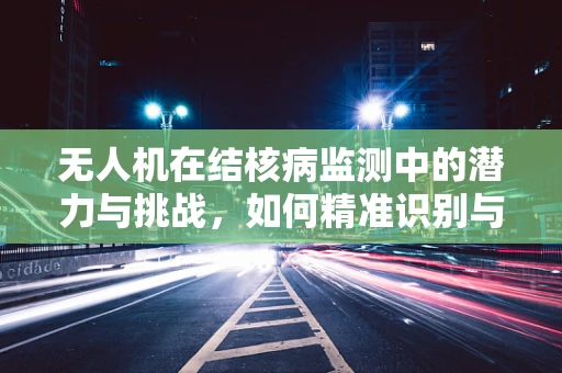 无人机在结核病监测中的潜力与挑战，如何精准识别与数据隐私的平衡？