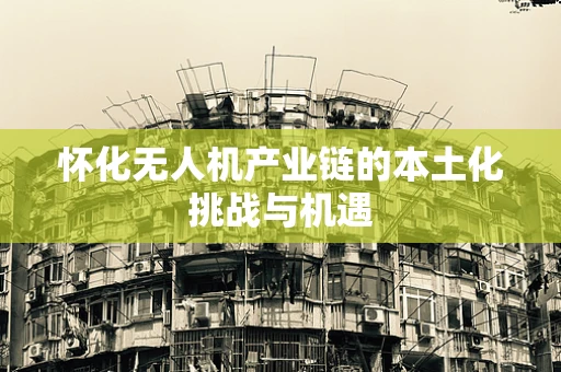 怀化无人机产业链的本土化挑战与机遇
