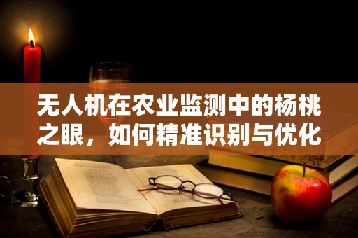 无人机在农业监测中的杨桃之眼，如何精准识别与优化管理？