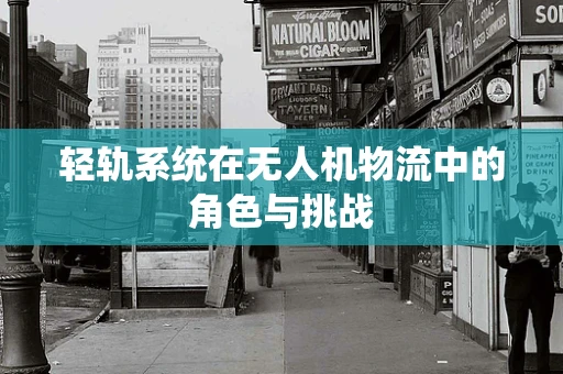 轻轨系统在无人机物流中的角色与挑战