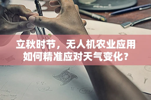 立秋时节，无人机农业应用如何精准应对天气变化？
