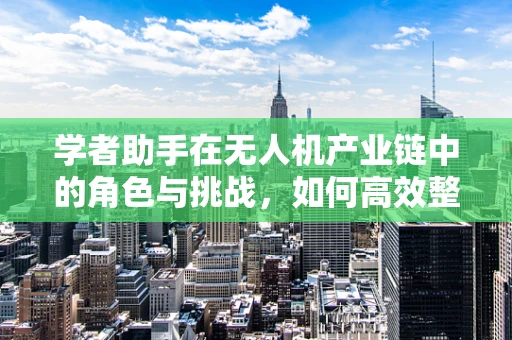 学者助手在无人机产业链中的角色与挑战，如何高效整合资源，推动技术创新？