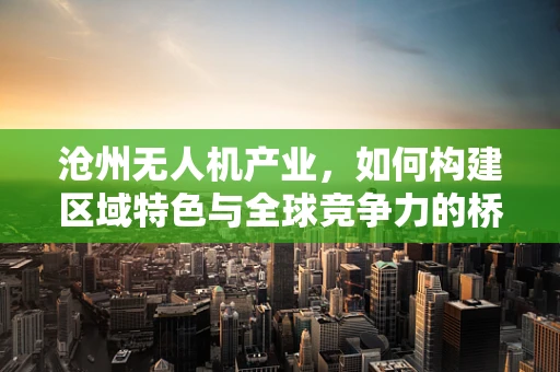 沧州无人机产业，如何构建区域特色与全球竞争力的桥梁？
