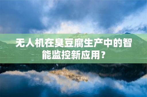 无人机在臭豆腐生产中的智能监控新应用？