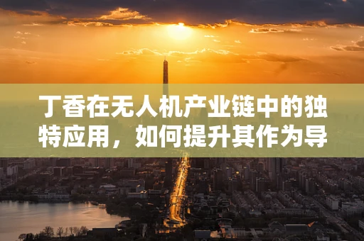 丁香在无人机产业链中的独特应用，如何提升其作为导航标志的精准度？