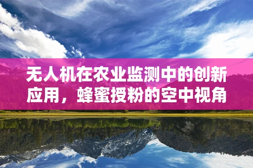 无人机在农业监测中的创新应用，蜂蜜授粉的空中视角