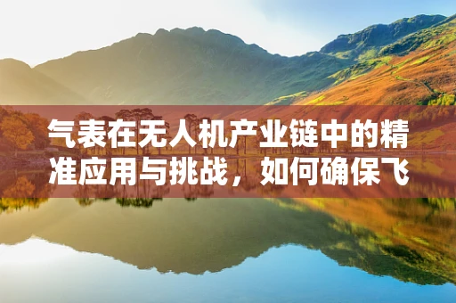 气表在无人机产业链中的精准应用与挑战，如何确保飞行安全？