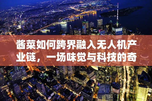 酱菜如何跨界融入无人机产业链，一场味觉与科技的奇妙融合？