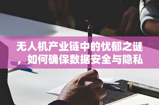 无人机产业链中的忧郁之谜，如何确保数据安全与隐私保护？