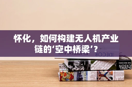 怀化，如何构建无人机产业链的‘空中桥梁’？