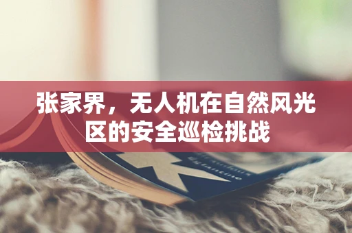 张家界，无人机在自然风光区的安全巡检挑战
